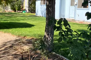 144 Ring Rd, Dayton, NV 89403 - Photo 45