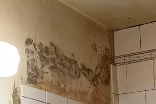 1803 N Nevada St, Carson City, NV 89703 - Photo 9