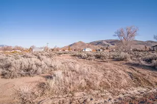 1356 Stephanie Way, Minden, NV 89423 - Photo 7