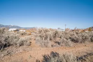 1356 Stephanie Way, Minden, NV 89423 - Photo 17