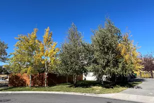 1091 Crown View Dr, Reno, NV 89523 - Photo 61