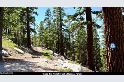 0 Genoa Peak Road, Stateline, NV 89449 - Photo 13