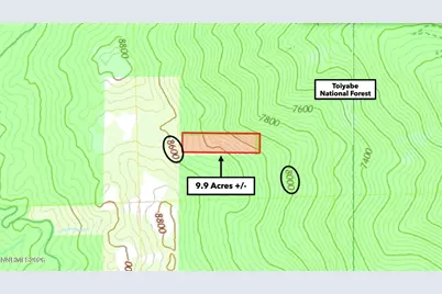 0 Genoa Peak Road, Stateline, NV 89449 - Photo 9