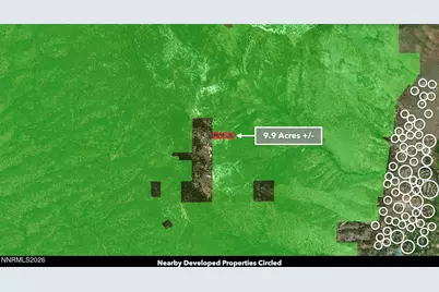 0 Genoa Peak Road, Stateline, NV 89449 - Photo 45