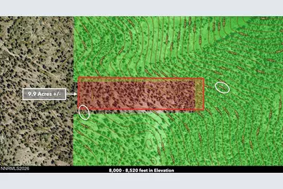 0 Genoa Peak Road, Stateline, NV 89449 - Photo 7