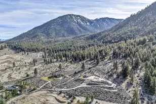 466 Horsethief Cir, Markleeville, CA 96120 - Photo 29