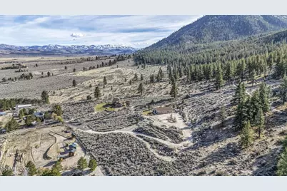 466 Horsethief Circle, Markleeville, CA 96120 - Photo 31