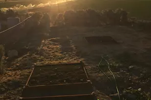 136 Palmer Way, Topaz, CA 96133 - Photo 35