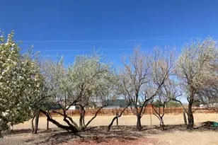 1500 W Spruce Ave, Silver Springs, NV 89429 - Photo 13