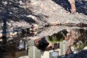 3012 Eastshore Pl, Reno, NV 89509 - Photo 21