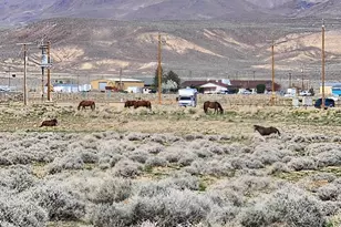 3420 Dayton Ave, Silver Springs, NV 89429 - Photo 1