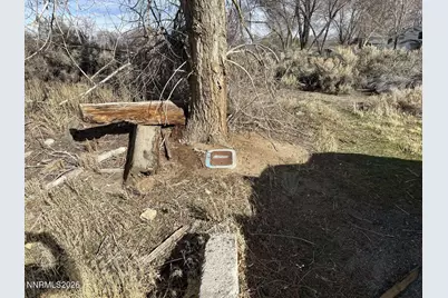 2387 Sneddon Way, Carson City, NV 89706 - Photo 3