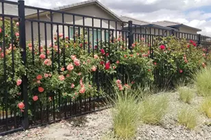 9728 Silverspar St, Reno, NV 89521 - Photo 21