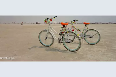 71888 Smoke Creek Road, Gerlach, NV 89412 - Photo 3