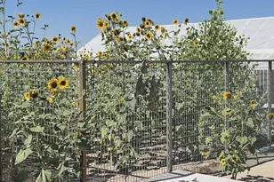 1197 Sky Ridge Dr, Fallon, NV 89406 - Photo 35