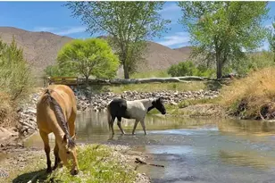 156 E Walker Rd, Yerington, NV 89447 - Photo 25