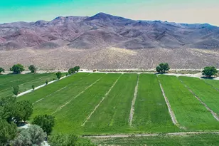 156 E Walker Rd, Yerington, NV 89447 - Photo 45