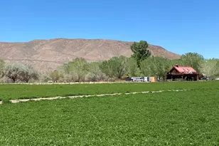 156 E Walker Rd, Yerington, NV 89447 - Photo 43