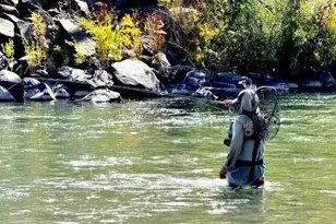 80 Bobcat Dr, Reno, NV 89523 - Photo 53