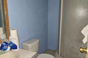 255 Danforth Dr, Sun Valley, NV 89433 - Photo 9