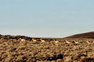 0 Bird Ranch Rd, Crescent Valley, NV 89821 - Photo 1