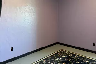 1045 Tonopah Ave, Tonopah, NV 89049 - Photo 41