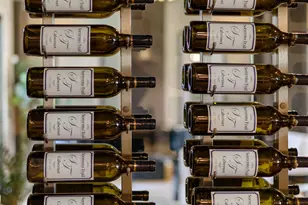 9509 Copper Sky Dr, Reno, NV 89521 - Photo 75