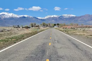 18520 State Route 290, Paradise Valley, NV 89426 - Photo 3