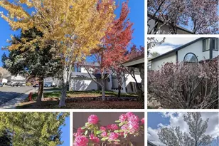 2240 Springdale Ct, Reno, NV 89523 - Photo 21