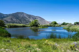 380 Genoa Ln, Minden, NV 89423 - Photo 15