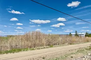 1147 White Oak Loop, Minden, NV 89423 - Photo 23