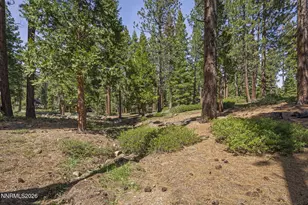568 Antler Ct, Incline Village, NV 89451 - Photo 35
