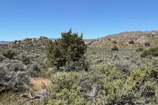 1325 Antelope Valley Rd, Reno, NV 89506 - Photo 1