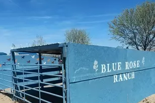 00 Blue Mountain Rd St, Winnemucca, NV 89445 - Photo 19