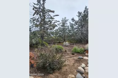1575 Shirley Street, Minden, NV 89423 - Photo 15