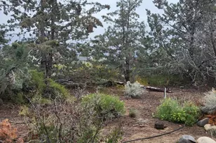 1575 Shirley St, Minden, NV 89423 - Photo 15