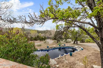 2120 Fish Springs Road, Gardnerville, NV 89410 - Photo 29