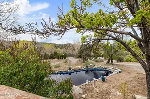 2120 Fish Springs Rd, Gardnerville, NV 89410 - Photo 29