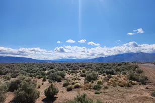 2101 State Route 208, Smith Valley, NV 89430 - Photo 1