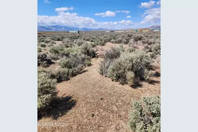 42 Acciari Road, Smith Valley, NV 89430 - Photo 3