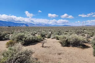 19 Acciari Rd, Smith Valley, NV 89430 - Photo 1