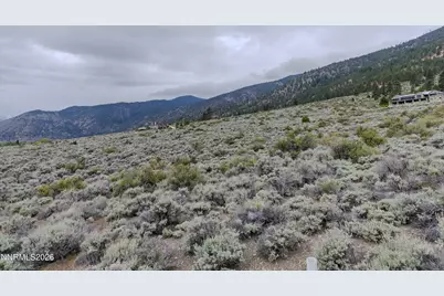 301 Adams Ranch Road, Genoa, NV 89706 - Photo 19