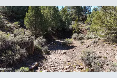 2120 Castle Peak Road, Reno, NV 89521 - Photo 5
