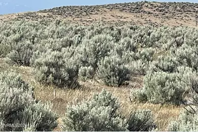 10 Button Point Road, Golconda, NV 89414 - Photo 17