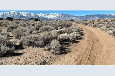 1290 Jo Lane, Gardnerville, NV 89410 - Photo 13
