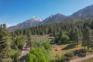 1147 Autumn Hills Rd, Gardnerville, NV 89460 - Photo 53
