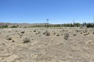 603 Pete Hendrichs Rd, Yerington, NV 89447 - Photo 1