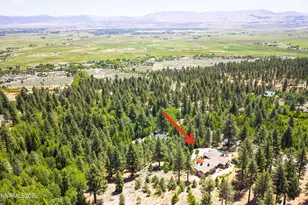 271 Forest Hill Way, Gardnerville, NV 89460 - Photo 43