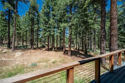 1005 Joy Lake Road, Reno, NV 89511 - Photo 41