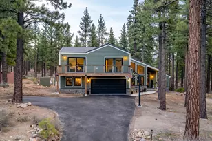 1005 Joy Lake Rd, Reno, NV 89511 - Photo 45